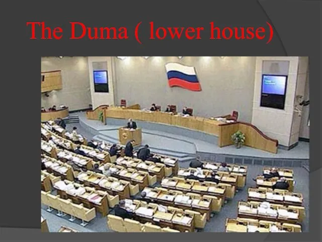 The Duma ( lower house)