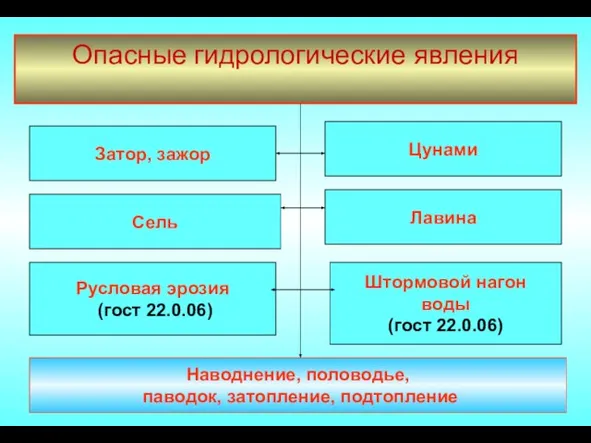 Опасные гидрологические явления Затор, зажор Сель Лавина Штормовой нагон воды (гост