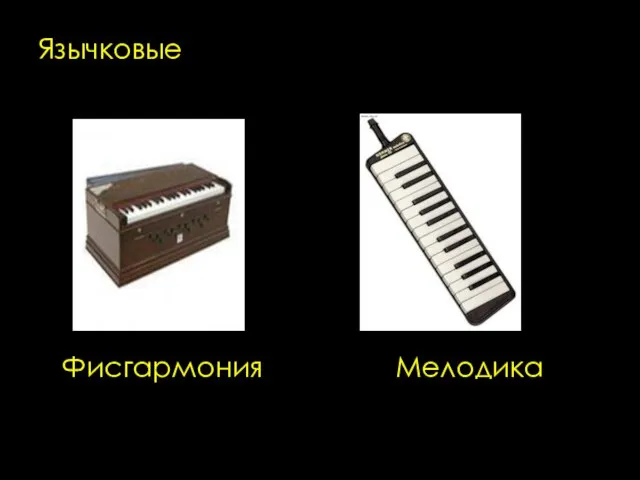 Язычковые Фисгармония Мелодика