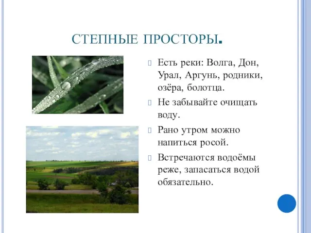 СТЕПНЫЕ ПРОСТОРЫ. Есть реки: Волга, Дон, Урал, Аргунь, родники, озёра, болотца.