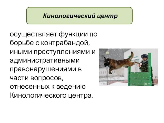 осуществляет функции по борьбе с контрабандой, иными преступлениями и административными правонарушениями