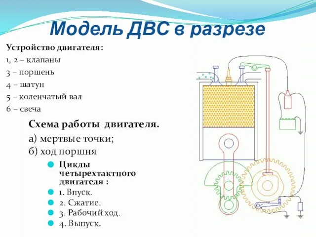 Модель ДВС в разрезе Устройство двигателя: 1, 2 – клапаны 3