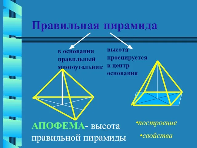 Правильная пирамида в основании правильный многоугольник высота проецируется в центр основания