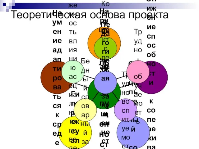 Теоретическая основа проекта