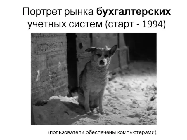 Портрет рынка бухгалтерских учетных систем (старт - 1994) (пользователи обеспечены компьютерами)