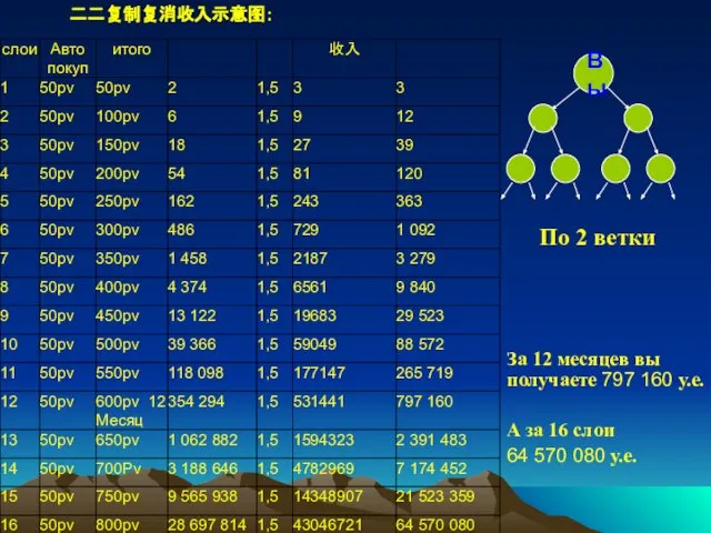 二二复制复消收入示意图： По 2 ветки За 12 месяцев вы получаете 797 160