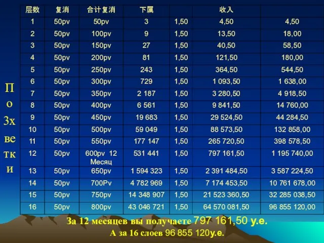 По 3х ветки За 12 месяцев вы получаете 797 161,50 у.е.