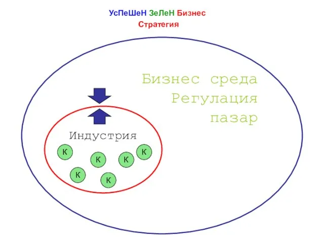 Бизнес среда Регулация пазар УсПеШеН ЗеЛеН Бизнес Стратегия Индустрия К К К К К К