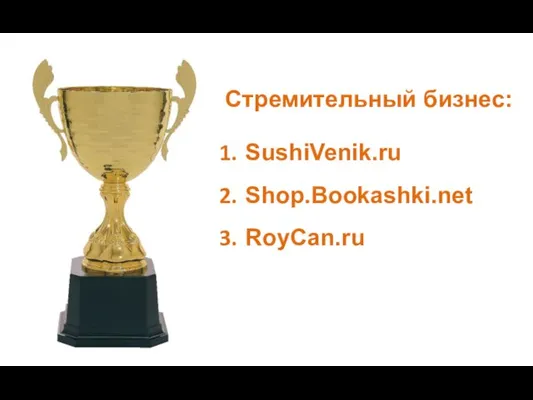 Стремительный бизнес: SushiVenik.ru Shop.Bookashki.net RoyCan.ru