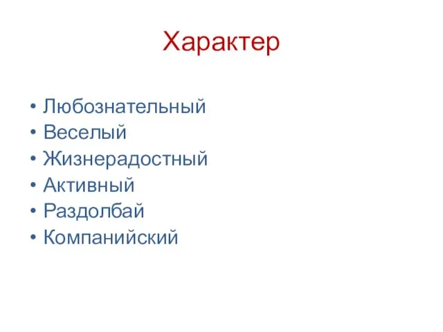 Характер Любознательный Веселый Жизнерадостный Активный Раздолбай Компанийский