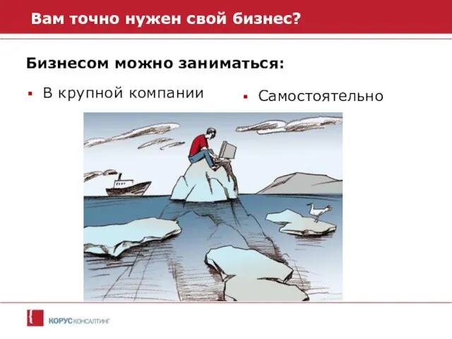 Вам точно нужен свой бизнес? Бизнесом можно заниматься: В крупной компании Самостоятельно