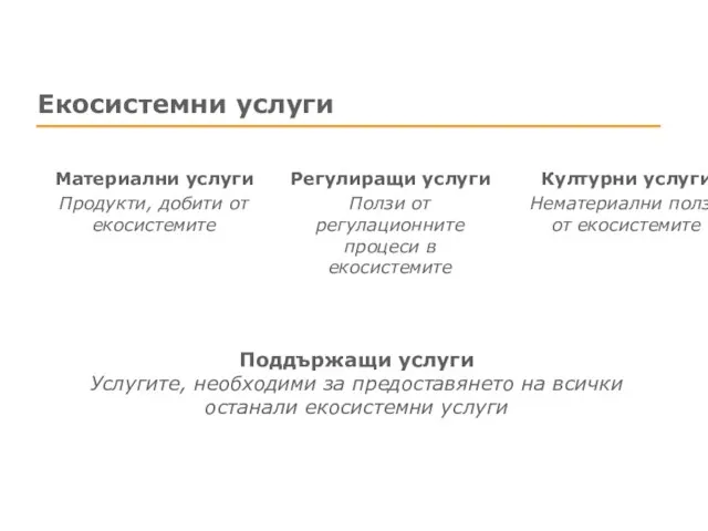 Екосистемни услуги Поддържащи услуги Услугите, необходими за предоставянето на всички останали екосистемни услуги