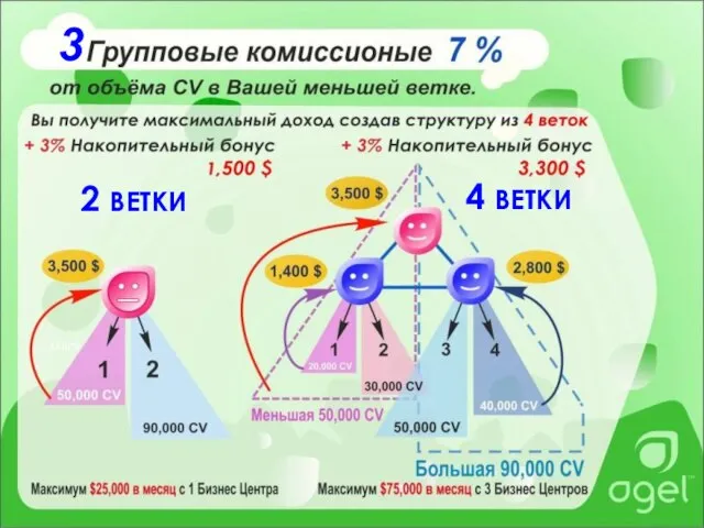 2 ВЕТКИ 4 ВЕТКИ 3