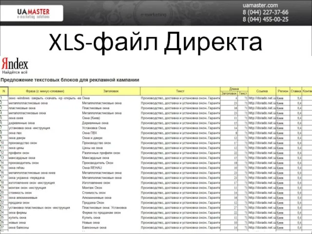 XLS-файл Директа