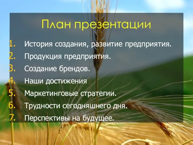 План презентации История создания, развитие предприятия. Продукция предприятия. Создание брендов. Наши