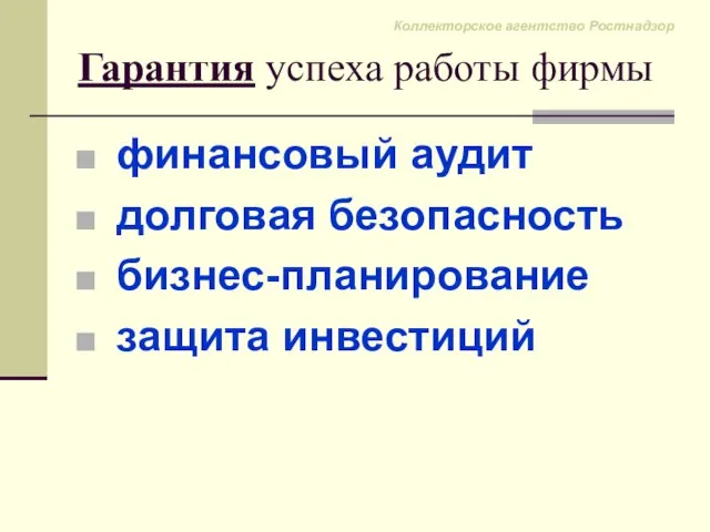 Гарантия успеха работы фирмы финансовый аудит долговая безопасность бизнес-планирование защита инвестиций