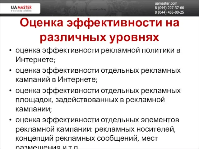 Оценка эффективности на различных уровнях оценка эффективности рекламной политики в Интернете;