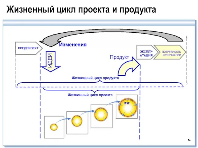 Жизненный цикл проекта и продукта