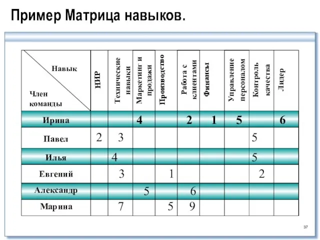 Пример Матрица навыков.