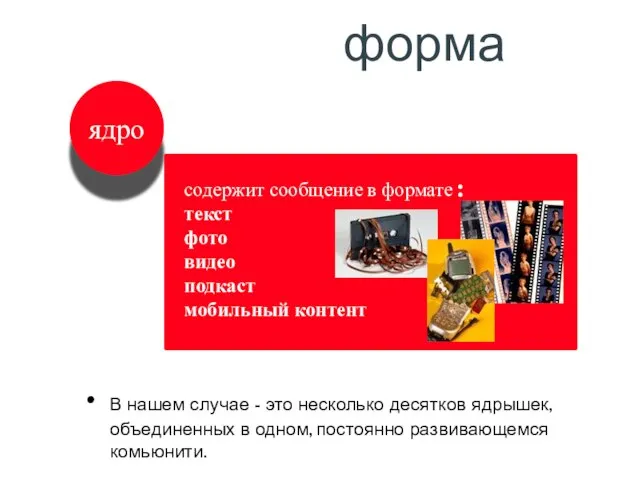 форма В нашем случае - это несколько десятков ядрышек, объединенных в