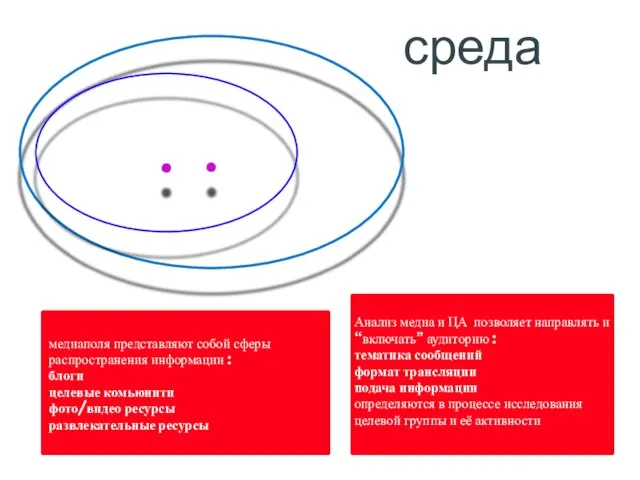 среда медиаполя представляют собой сферы распространения информации : блоги целевые комьюнити