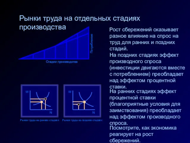 Стадии производства Потребление Рынки труда на отдельных стадиях производства Стадии производства