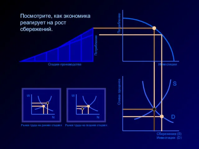 Инвестиции Ставка процента Сбережения (S) Инвестиции (D) D S Потребление Стадии