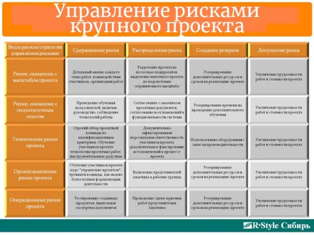 Управление рисками крупного проекта