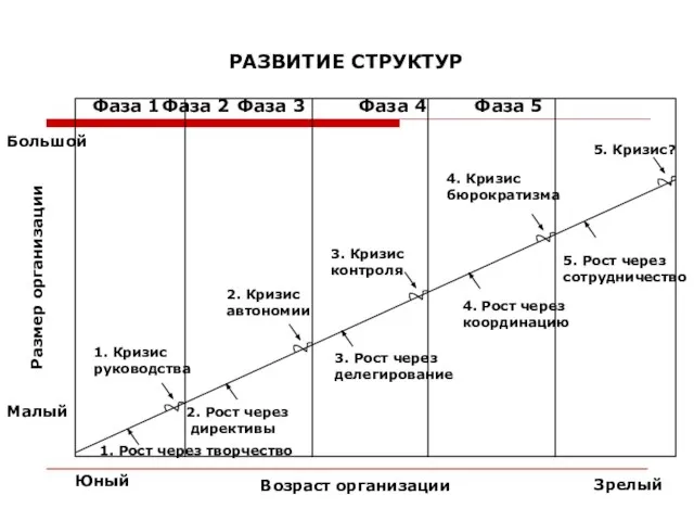 РАЗВИТИЕ СТРУКТУР Большой Малый Юный Зрелый Возраст организации Размер организации Фаза