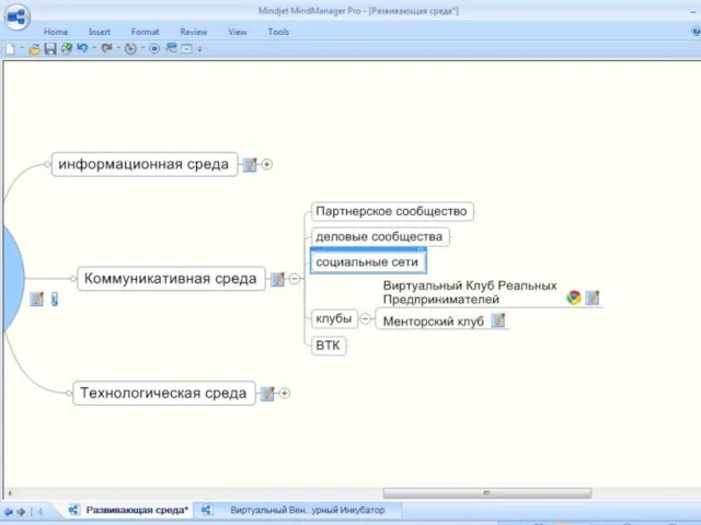 Развивающая Среда Информационная Коммуникативная Технологическая среда