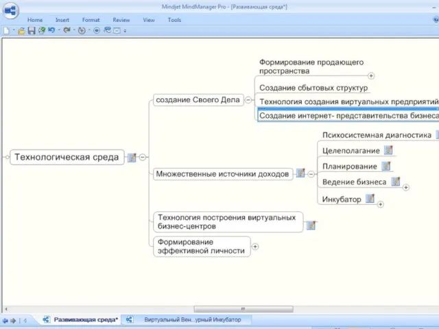 Развивающая Среда Информационная Коммуникативная Технологическая среда