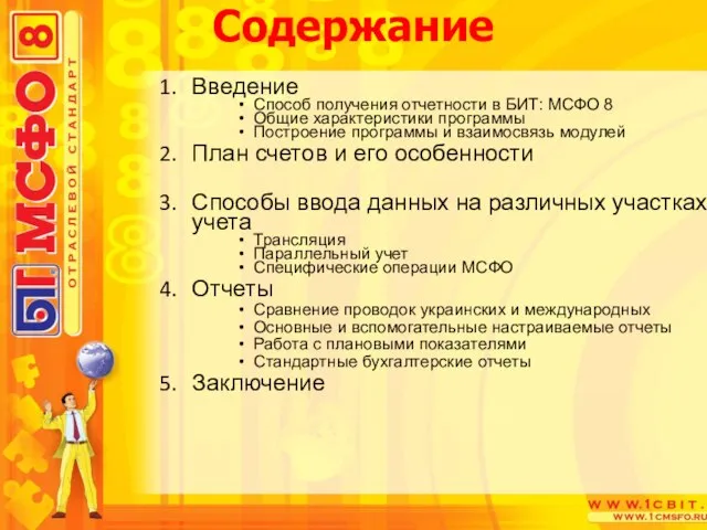 Введение Способ получения отчетности в БИТ: МСФО 8 Общие характеристики программы