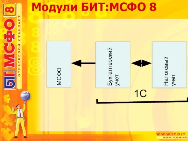 Модули БИТ:МСФО 8