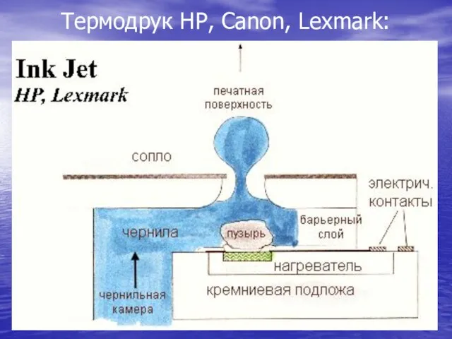 Термодрук НР, Сanon, Lexmark: