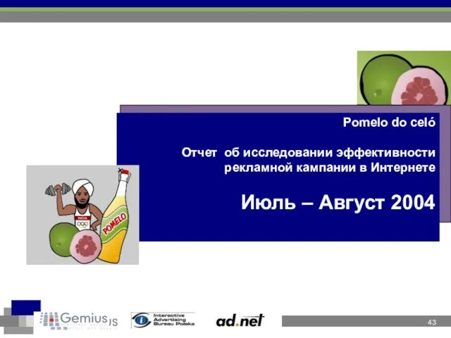 Pomelo do celó Отчет об исследовании эффективности рекламной кампании в Интернете Июль – Август 2004