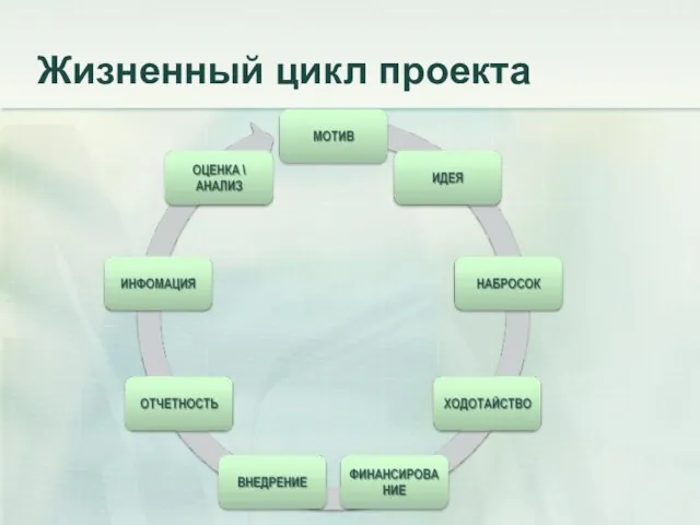 Жизненный цикл проекта