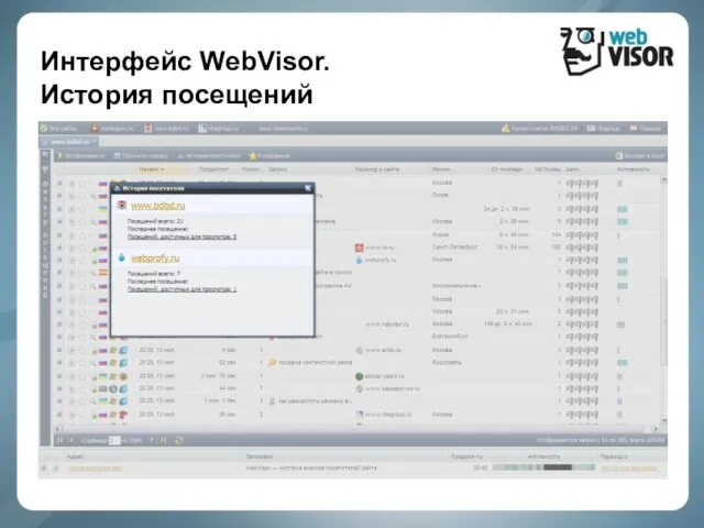 Интерфейс WebVisor. История посещений