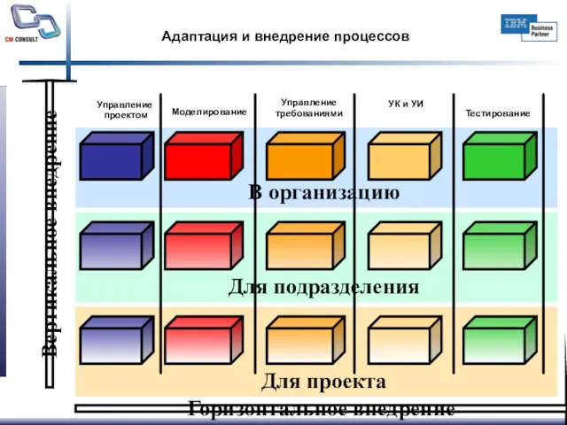 Адаптация и внедрение процессов Горизонтальное внедрение Вертикальное внедрение Моделирование Управление требованиями