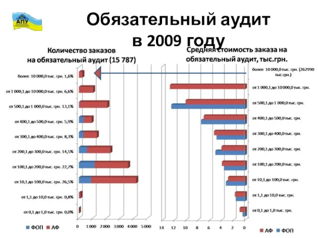 Обязательный аудит в 2009 году