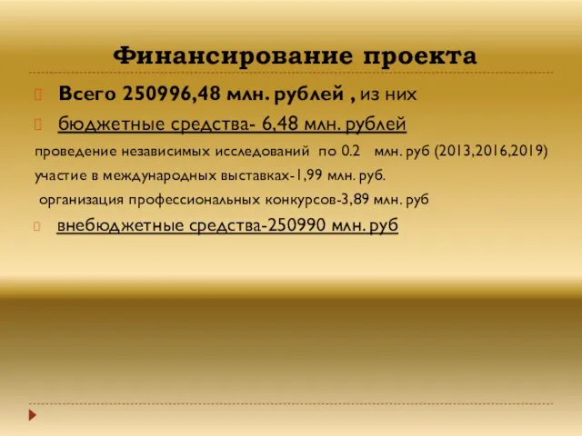 Финансирование проекта Всего 250996,48 млн. рублей , из них бюджетные средства-