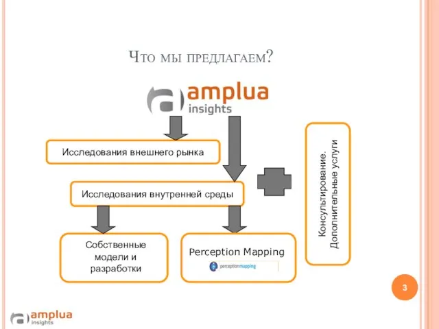 Что мы предлагаем? Консультирование. Дополнительные услуги Исследования внутренней среды Исследования внешнего