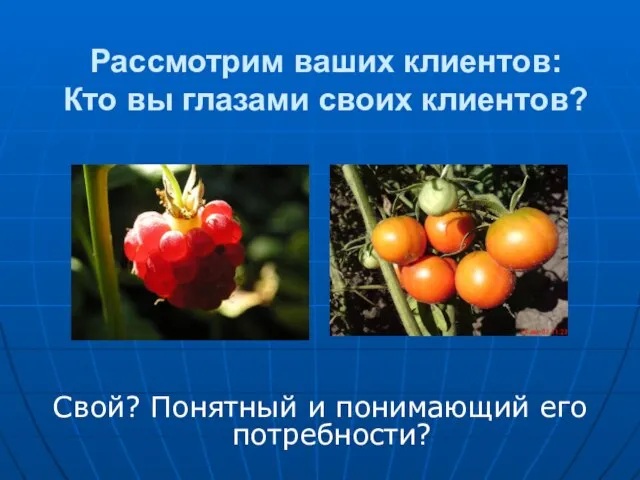 Рассмотрим ваших клиентов: Кто вы глазами своих клиентов? Свой? Понятный и понимающий его потребности?