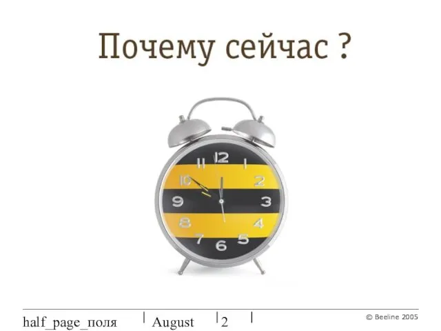 August 27, 2023 half_page_поля