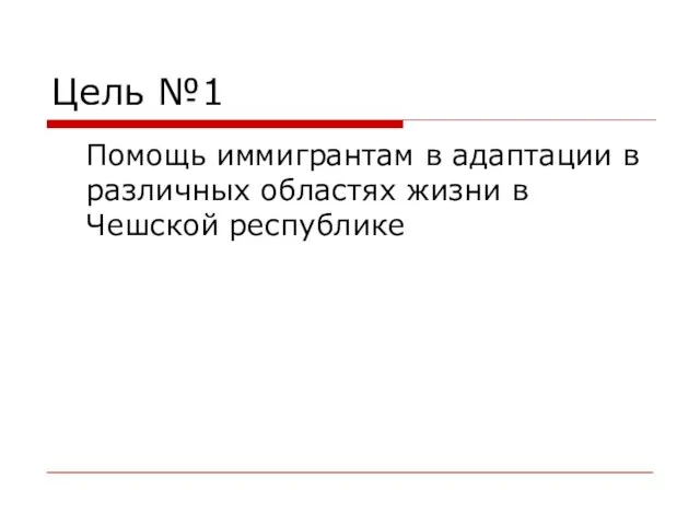 Цель №1 Помощь иммигрантам в адаптации в различных областях жизни в Чешской республике