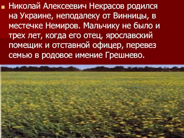 Николай Алексеевич Некрасов родился на Украине, неподалеку от Винницы, в местечке