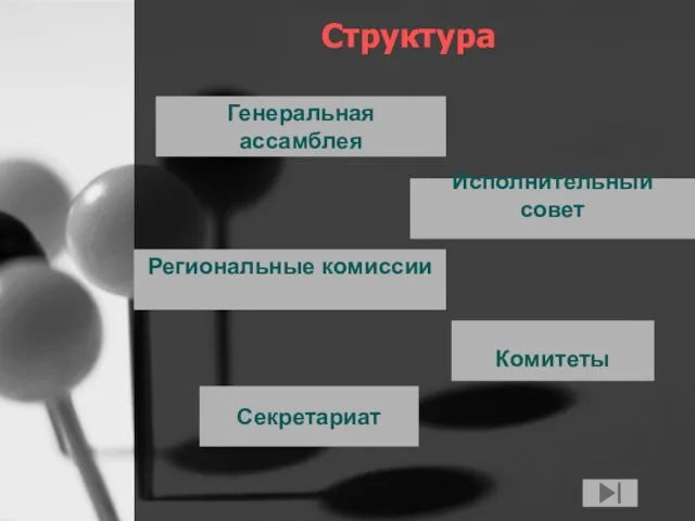 Структура Генеральная ассамблея Исполнительный совет Региональные комиссии Комитеты Секретариат