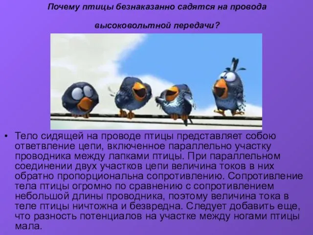 Почему птицы безнаказанно садятся на провода высоковольтной передачи? Тело сидящей на