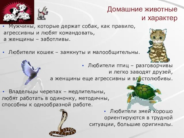 Домашние животные и характер Мужчины, которые держат собак, как правило, агрессивны