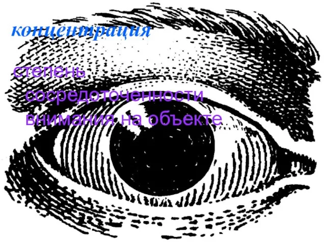 концентрация степень сосредоточенности внимания на объекте