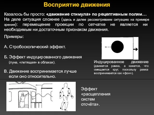 Восприятие движения Казалось бы просто: «движение стимула» по рецептивным полям… На